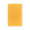 CARLinéa washing sponge