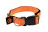 FIDELAMI Collier Chien, Coutures réfléchissantes, réglable taille M/L