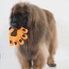 FIDELAMI Gant de toilettage Patte de tigre pour chien main droite ou gauche