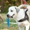 FIDELAMI Berlingot textile bleu jouet pour chien