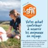 FIDELAMI Peluche Rob le robot, grosse peluche pour chien