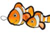 FIDELAMI Peluche Maurice le poisson clown, grosse peluche pour chien