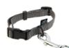 FIDELAMI Collier pour Chien Signature, Nylon Resistant Gris, S 25 à 35 cm