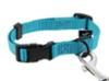 FIDELAMI Collier pour Chien Signature, Nylon Resistant Turquoise, M 30 à 45 cm