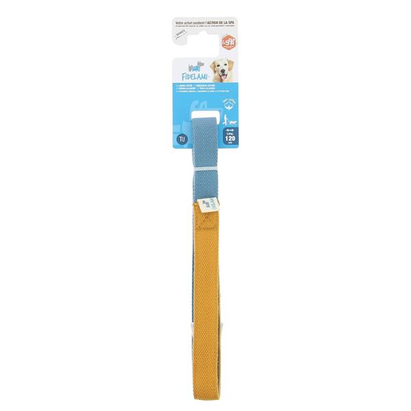 FIDELAMI Laisse pour Chien, Coton Confort, Bicolore Jaune Bleue, 120 cm