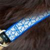 FIDELAMI Collier Réfléchissant Chien, Motif géométrique, Bleu Nuit, S 28 à 40 cm