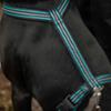 FIDELAMI Harnais Chien Calme, 2 accroches : Promenade, Education, Bleu ,Taille L