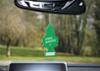 ARBRE MAGIQUE®. Green apple tree