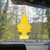 ARBRE MAGIQUE®. Lemon tree
