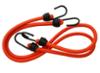 XLPT 2 bungees Ø8mm. L.80cm