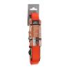 XLPT 2 cinghie 25mm a fibbia. 2 ganci S. 3m